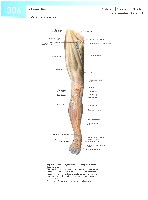 Sobotta  Atlas of Human Anatomy  Trunk, Viscera,Lower Limb Volume2 2006, page 313